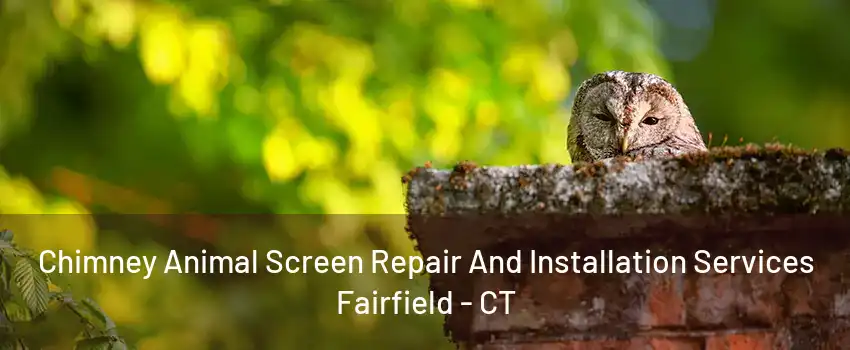 Chimney Animal Screen Repair And Installation Services Fairfield - CT