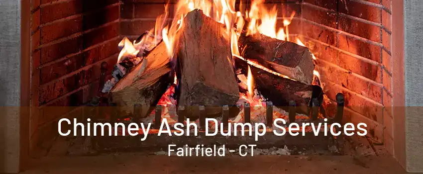 Chimney Ash Dump Services Fairfield - CT