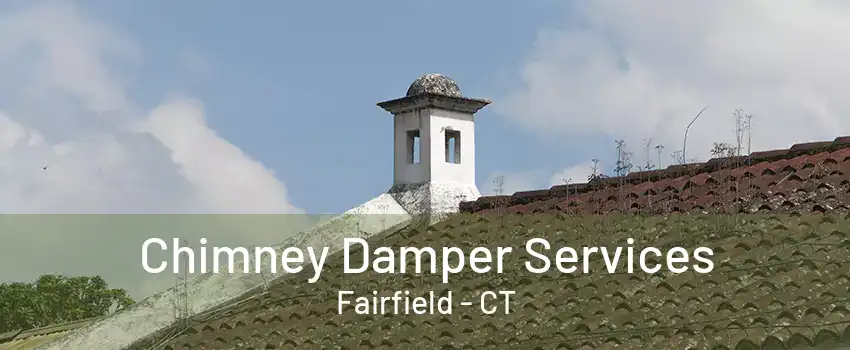 Chimney Damper Services Fairfield - CT