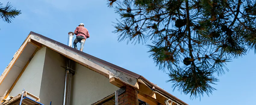 Birds Removal Contractors from Chimney in Fairfield, CT