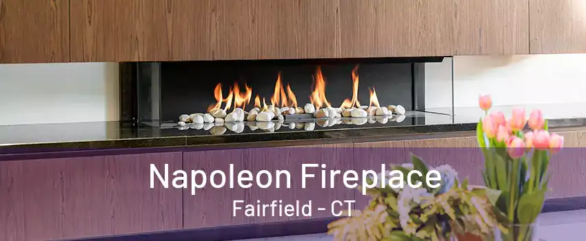 Napoleon Fireplace Fairfield - CT